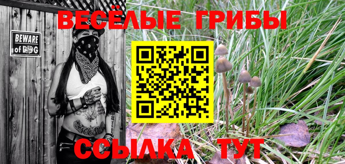 Псилоцибиновые грибы GOLDEN TEACHER Петрозаводск