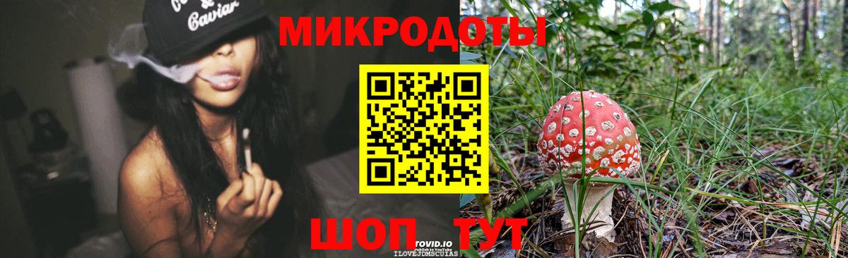 Галлюциногенные грибы Psilocybe  Вход с VPN  Петрозаводск 